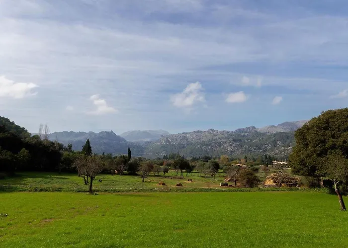 Dom wakacyjny Tolle In Wunderschoener Landschaft By Interhome Pollensa